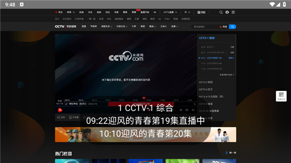 电视浏览器截图2