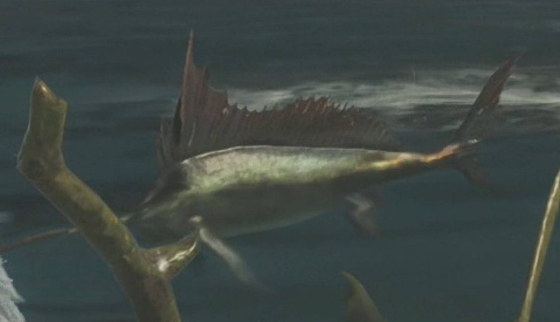 怪物猎人荒野大王旗鱼的鳍怎么获得