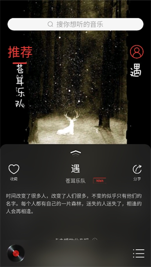 hifi音乐截图1