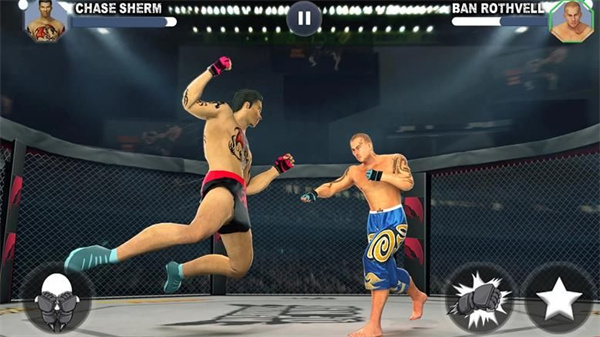 武术跆拳道截图1