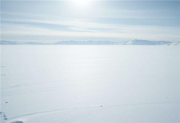 deepseek下载苹果版