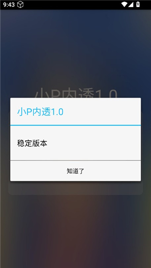 小P内透10