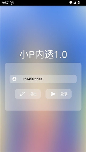 小P内透10