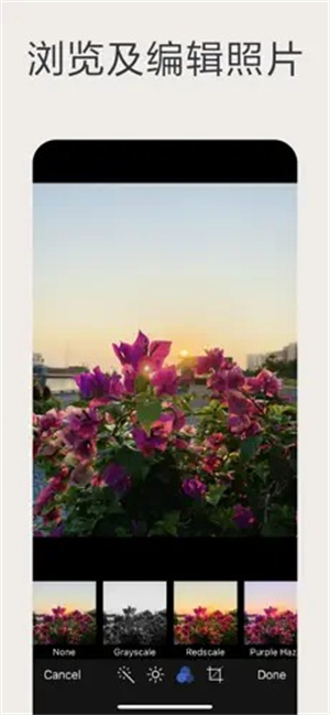 猫头鹰文件管理器专业版截图2