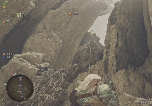 怪物猎人荒野古盏蟹在哪里