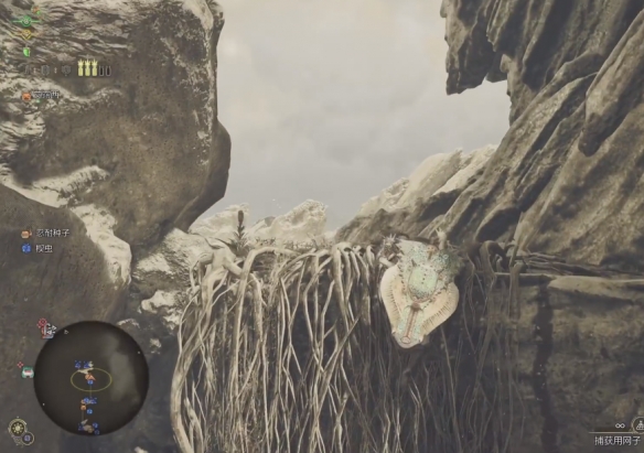 怪物猎人荒野古盏蟹在哪里