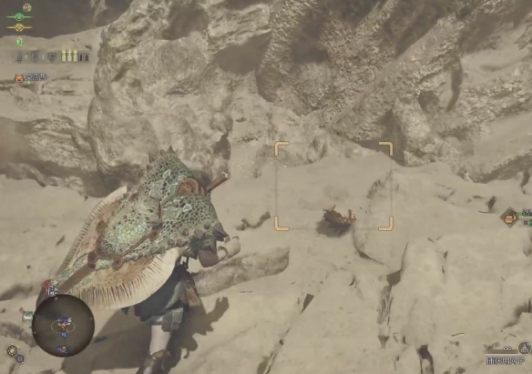 怪物猎人荒野古盏蟹在哪里