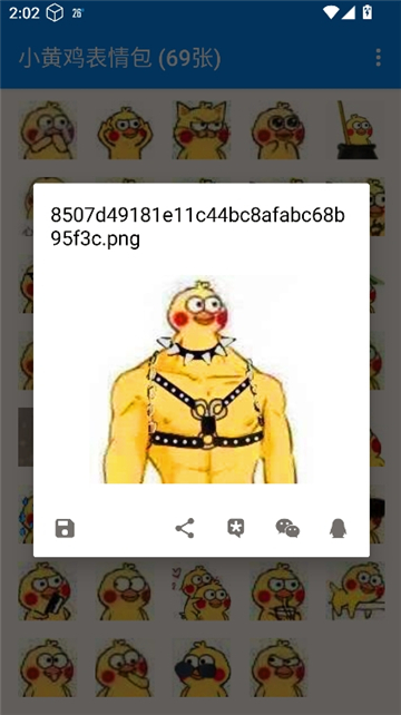 小黄鸡表情截图5