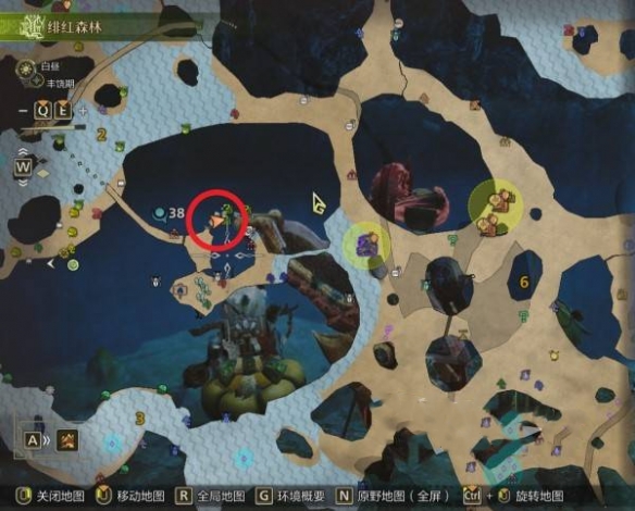 怪物猎人荒野金鱼在哪里