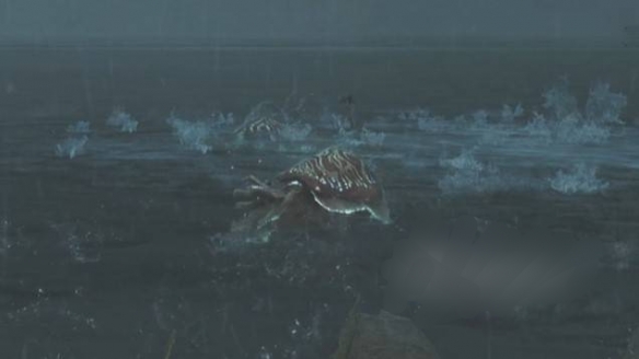 怪物猎人荒野入道乌贼位置一览