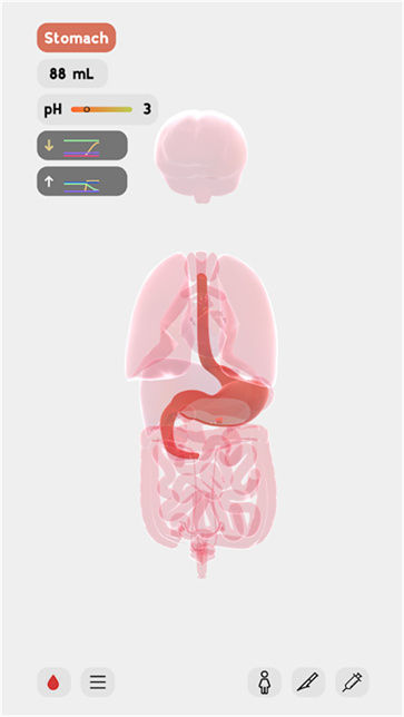 life生命模拟器汉化版截图5