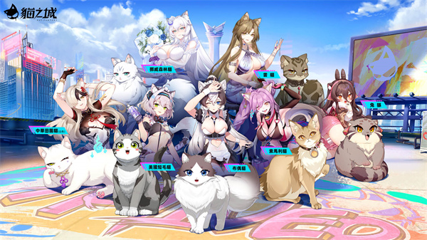 猫之城国服