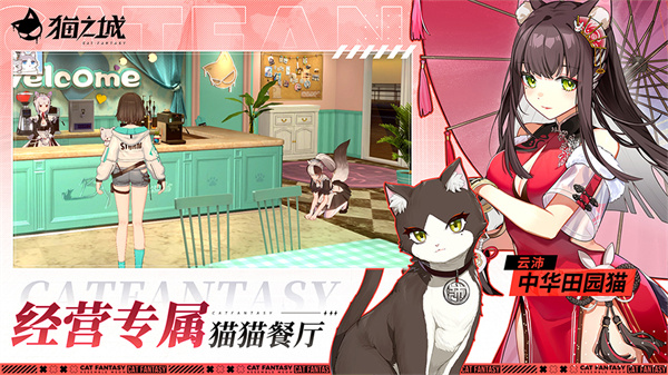 猫之城国际服截图2
