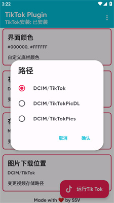 tiktok plugin中文版
