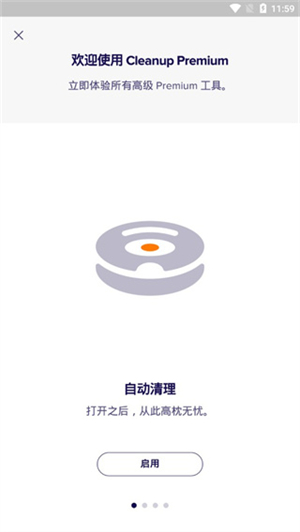 AvastCleanup截图2