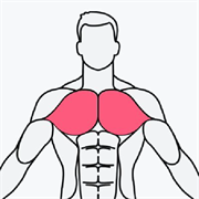 MuscleWiki