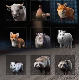 刺客信条影全宠物获取方法