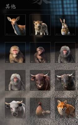 刺客信条影全宠物获取方法