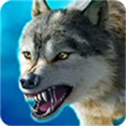 thewolf狼族
