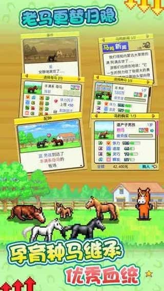开罗赛马牧场物语截图1