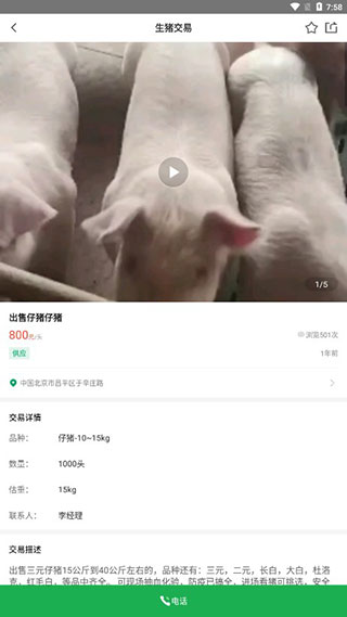 猪邦忙