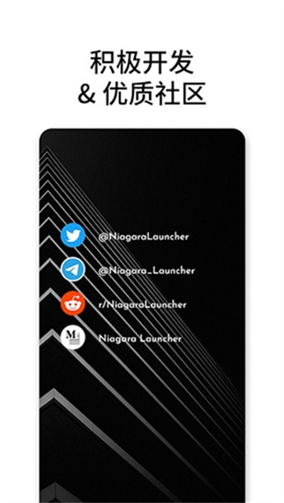 niagara launcher桌面截图3