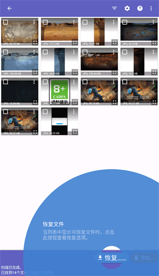 diskdiggerpro汉化版截图3