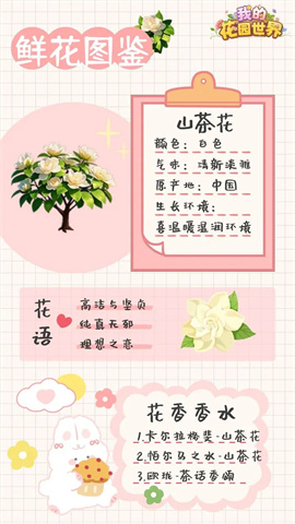 我的花园世界正版