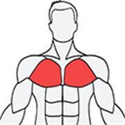 musclewiki肌肉百科