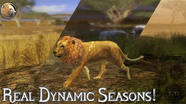 终极狮子模拟器2截图1