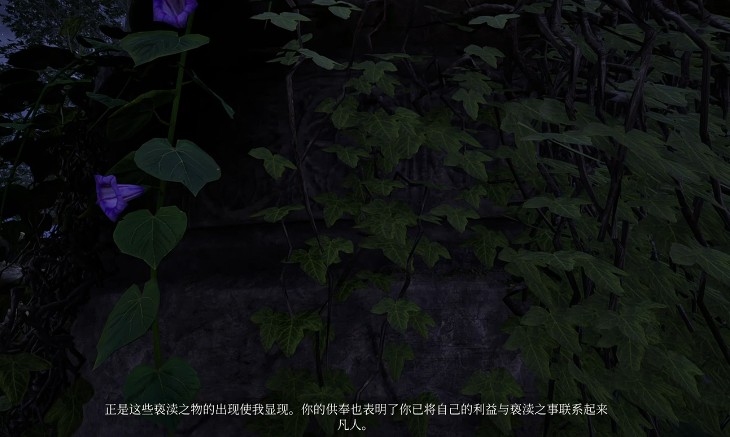 上古卷轴4重制版虎人之环怎么获得