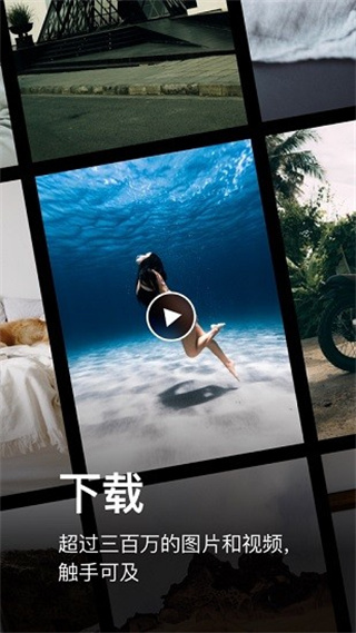 pexels素材中文版截图1