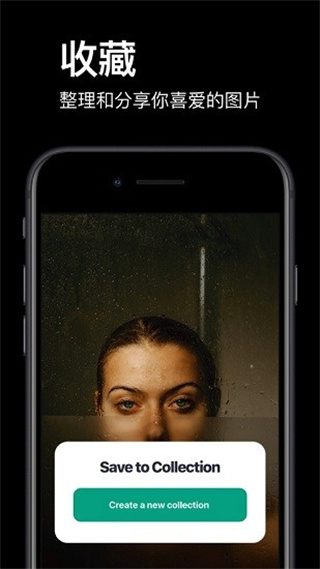 pexels素材中文版截图3