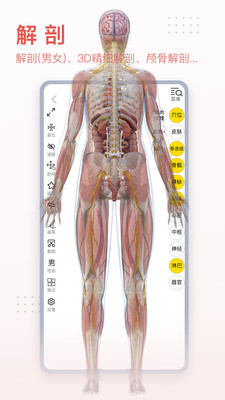 3dbody解剖截图3