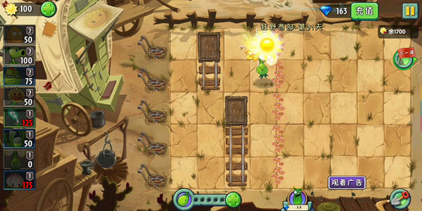 植物大战僵尸2单机版截图2