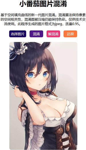 小番茄图片混淆netlify