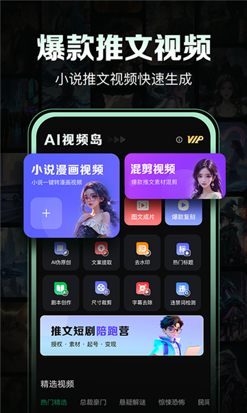 ai视频岛截图2