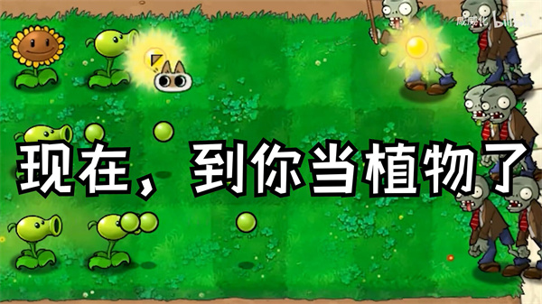 植物大战僵尸繁琐版截图1