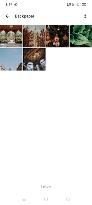 backpaper壁纸截图1