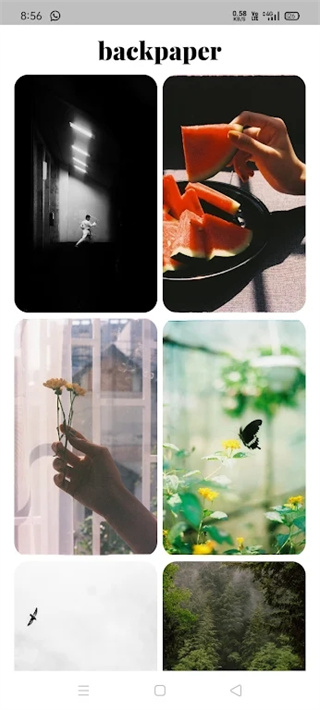 backpaper壁纸截图2