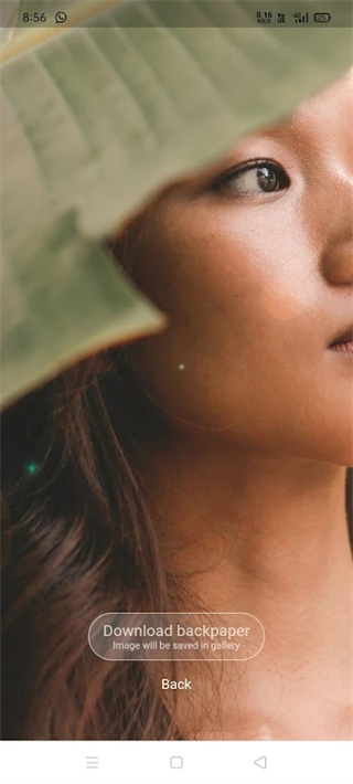 backpaper壁纸截图3