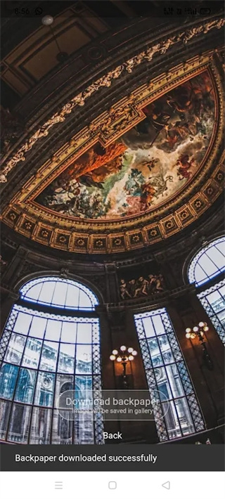 backpaper壁纸截图4