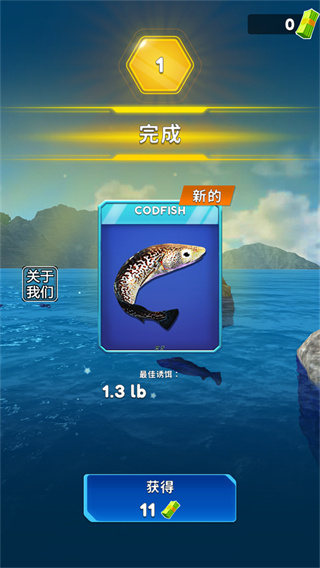 俄罗斯钓鱼4中文版