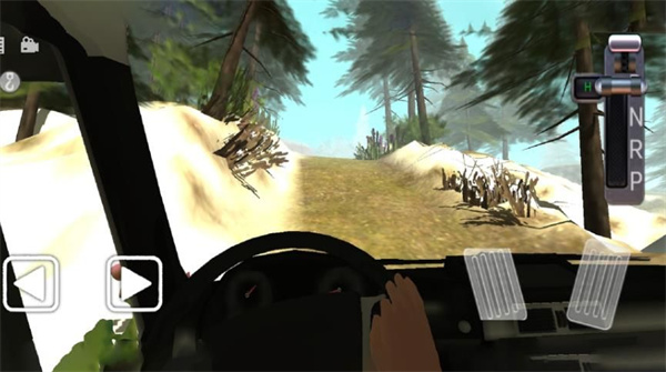 真实卡车司机3D截图3