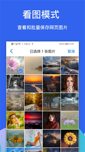 alook浏览器旧版本截图3
