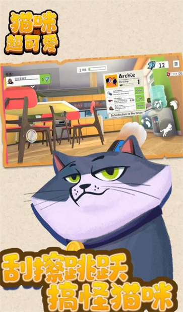 猫咪超可爱截图2