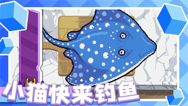 小猫快来钓鱼视频