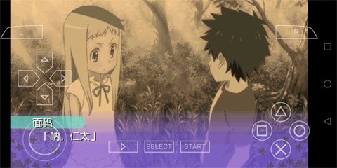 未闻花名中文版