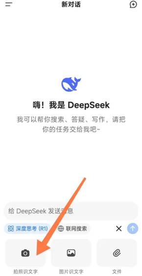deepseek人工智能大模型