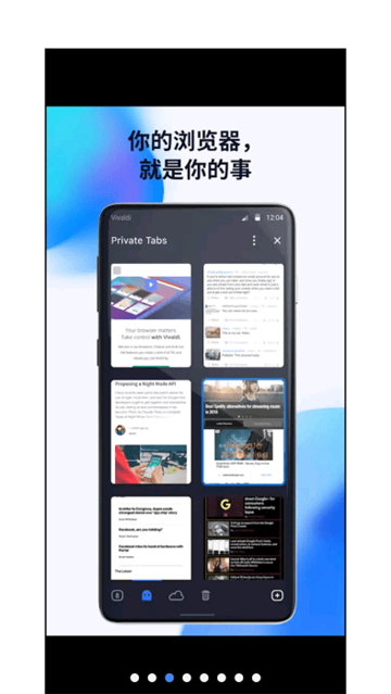 vivaldi浏览器ios版截图3